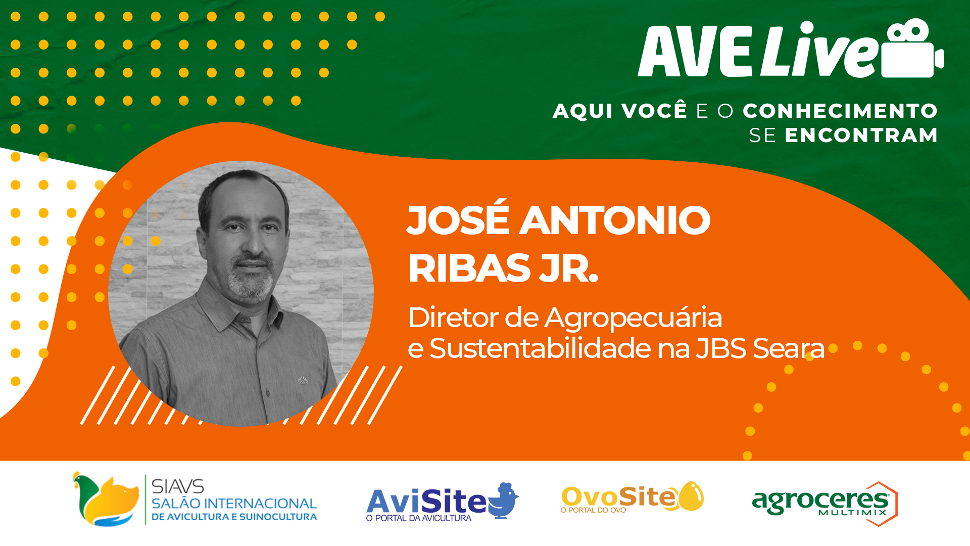avicultura brasileira josé antonio ribas jr.